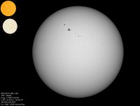2022-03-27-1152_3-ML-T210-OM410-8img-1250_f.jpg
