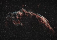 NGC6995.jpg