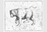 Ursa_Major