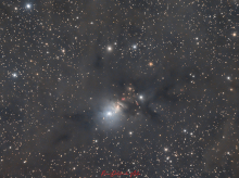 Nébuleuse NGC 1333